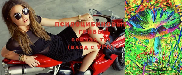 соль ск Бронницы