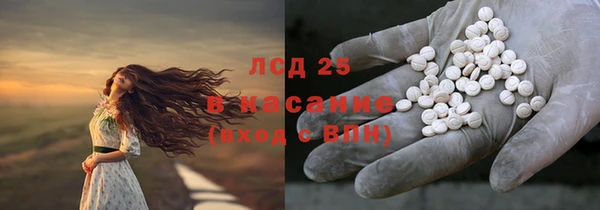 прущие грибы Бугульма