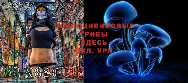 соль ск Бронницы