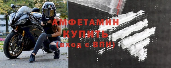 прущие грибы Бугульма