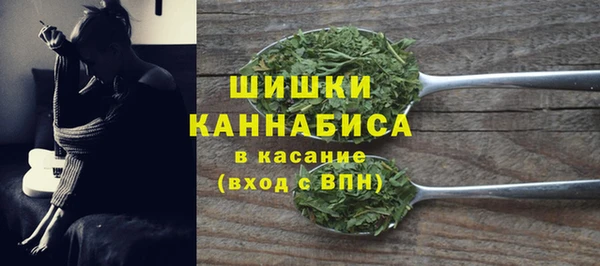прущие грибы Бугульма