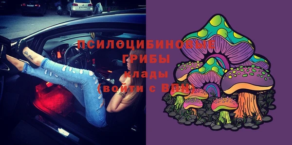 соль ск Бронницы