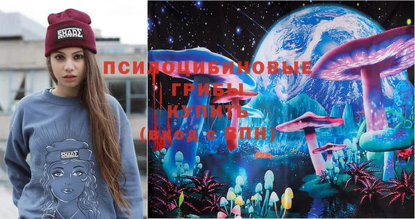 соль ск Бронницы