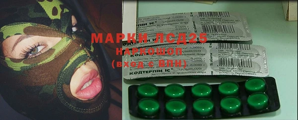 прущие грибы Бугульма