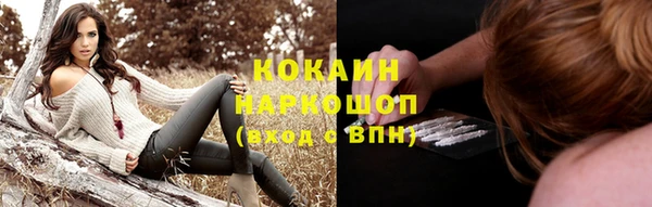прущие грибы Бугульма