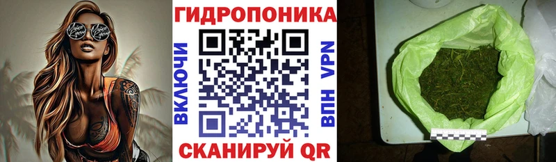 Купить  Горнозаводск  Бошки марихуана сатива 